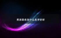 男孩取名张什么名字好听 - 男孩子取名姓张