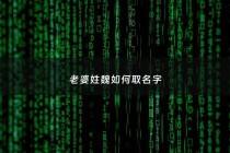 老婆姓魏如何取名字 - 老婆姓魏如何取名字男