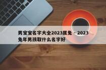 男宝宝名字大全2023属兔 - 2023兔年男孩取什么名字好