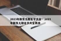 2023年新生儿取名字大全 - 2023年新生儿取名字大全男孩