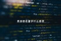 男孩取名董宇什么意思 - 董宇名字怎么样