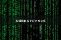 灰猫猫起名字好听吗女生 - 灰猫名字可爱洋气