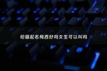 给猫起名梅西好吗女生可以叫吗 - 关于梅西名字