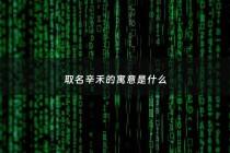 取名辛禾的寓意是什么 - 取名字,辛字的含义