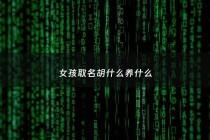 女孩取名胡什么养什么 - 女孩起名胡