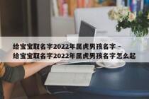 给宝宝取名字2022年属虎男孩名字 - 给宝宝取名字2022年属虎男孩名字怎么起