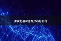 男孩起名叫源林好吗好听吗 - 林什么源男孩名字