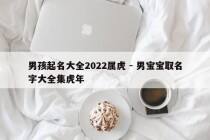 男孩起名大全2022属虎 - 男宝宝取名字大全集虎年