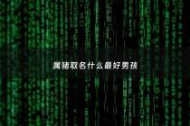 属猪取名什么最好男孩 - 属猪的取什么名好