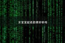女宝宝起名韵意好听吗 - 韵 女孩名