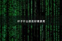 叶子什么取名好寓意男 - 叶子名字好不好