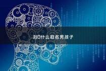 刘璟什么取名男孩子 - 刘璟昊的名字寓意