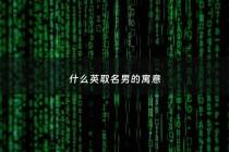 什么英取名男的寓意 - 英取名字男孩