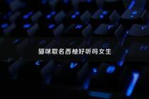 猫咪取名西柚好听吗女生 - 西柚取名字