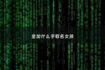 金加什么字取名女孩 - 金字加什么字好听