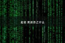 起名 男孩苏乙什么 - 苏什么名字好听男孩