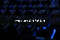 诗经小取名男孩有典故吗 - 诗经小取名男孩有典故吗为什么