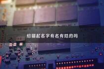 给猫起名字有名有姓的吗 - 给猫取名字叫什么最好带自己姓