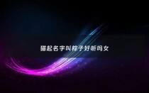 猫起名字叫粽子好听吗女 - 粽子好听的叫法