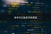 序字可以起名字吗男孩 - 序做名字