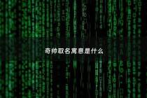 奇帅取名寓意是什么 - 奇帅是什么品牌
