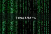 小老虎起名姓王什么 - 属虎姓王起名宜用名字大全