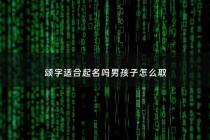 颂字适合起名吗男孩子怎么取 - 颂字取名寓意及含义