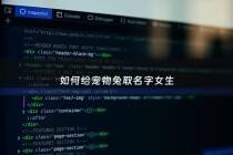 如何给宠物兔取名字女生 - 宠物兔怎么取名