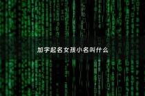加字起名女孩小名叫什么 - 加字取名字