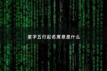 星字五行起名寓意是什么 - 星字的五行及寓意
