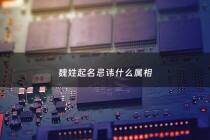 魏姓起名忌讳什么属相 - 魏 姓名