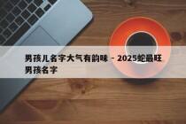 男孩儿名字大气有韵味 - 2025蛇最旺男孩名字