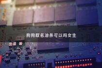 狗狗取名油条可以吗女生 - 油条狗狗能吃吗