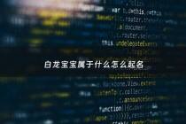 白龙宝宝属于什么怎么起名 - 白龙的全名叫什么