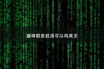 猫咪取名姓汤可以吗英文 - 猫可以起什么英文名