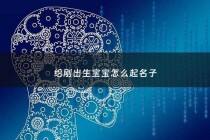 给刚出生宝宝怎么起名子 - 刚出生的宝宝怎么起名字