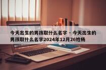 今天出生的男孩取什么名字 - 今天出生的男孩取什么名字2024年12月26姓杨