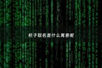 杭子取名是什么寓意呢 - 杭字做名字的寓意