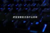 虎宝宝取名王浩什么好听 - 王浩什么字男孩有寓意