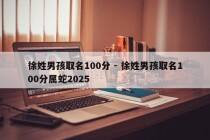 徐姓男孩取名100分 - 徐姓男孩取名100分属蛇2025