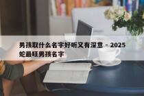 男孩取什么名字好听又有深意 - 2025蛇最旺男孩名字
