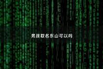 男孩取名东山可以吗 - 男孩起名东