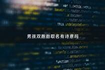 男孩双胞胎取名有诗意吗 - 男孩双胞胎起名