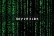 姓普 天字辈 怎么起名 - 姓普的取个什么名字好