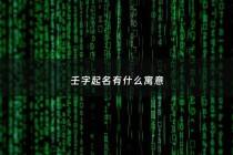 壬字起名有什么寓意 - 壬字起名有什么寓意吗