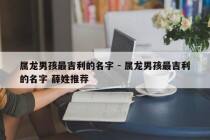 属龙男孩最吉利的名字 - 属龙男孩最吉利的名字 薛姓推荐