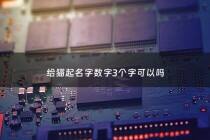 给猫起名字数字3个字可以吗 - 给猫起名字可以叫什么,好听