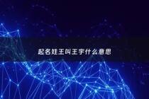 起名姓王叫王宇什么意思 - 王宇啥男孩名字都有多少名字