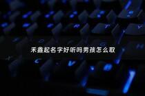 禾鑫起名字好听吗男孩怎么取 - 禾鑫有限公司