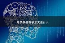 男孩取名羽字含义是什么 - 男孩取名羽字含义是什么意思